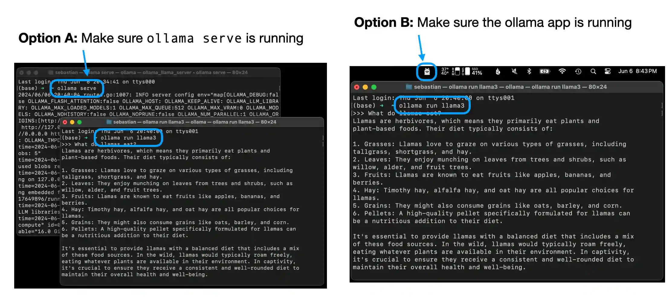 The local evaluation workflow in the repo uses an external LLM through Ollama as a judge