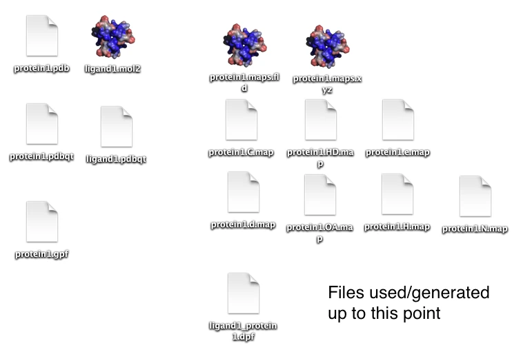 Autodock energycomps files before score