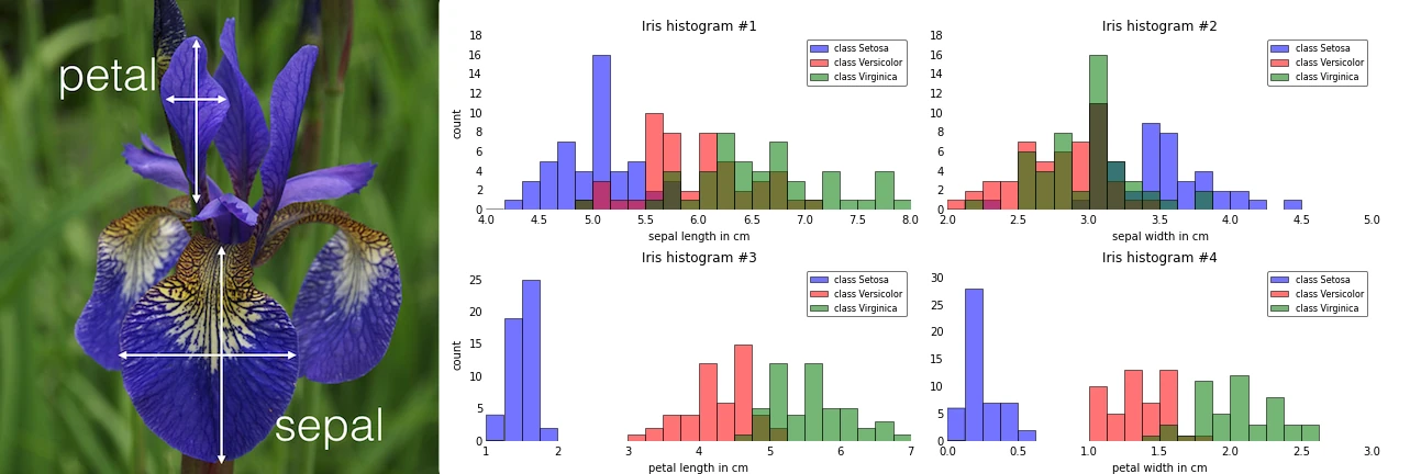 Intro supervised learning iris petal sepal 1