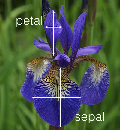 Linear discriminant analysis iris petal sepal