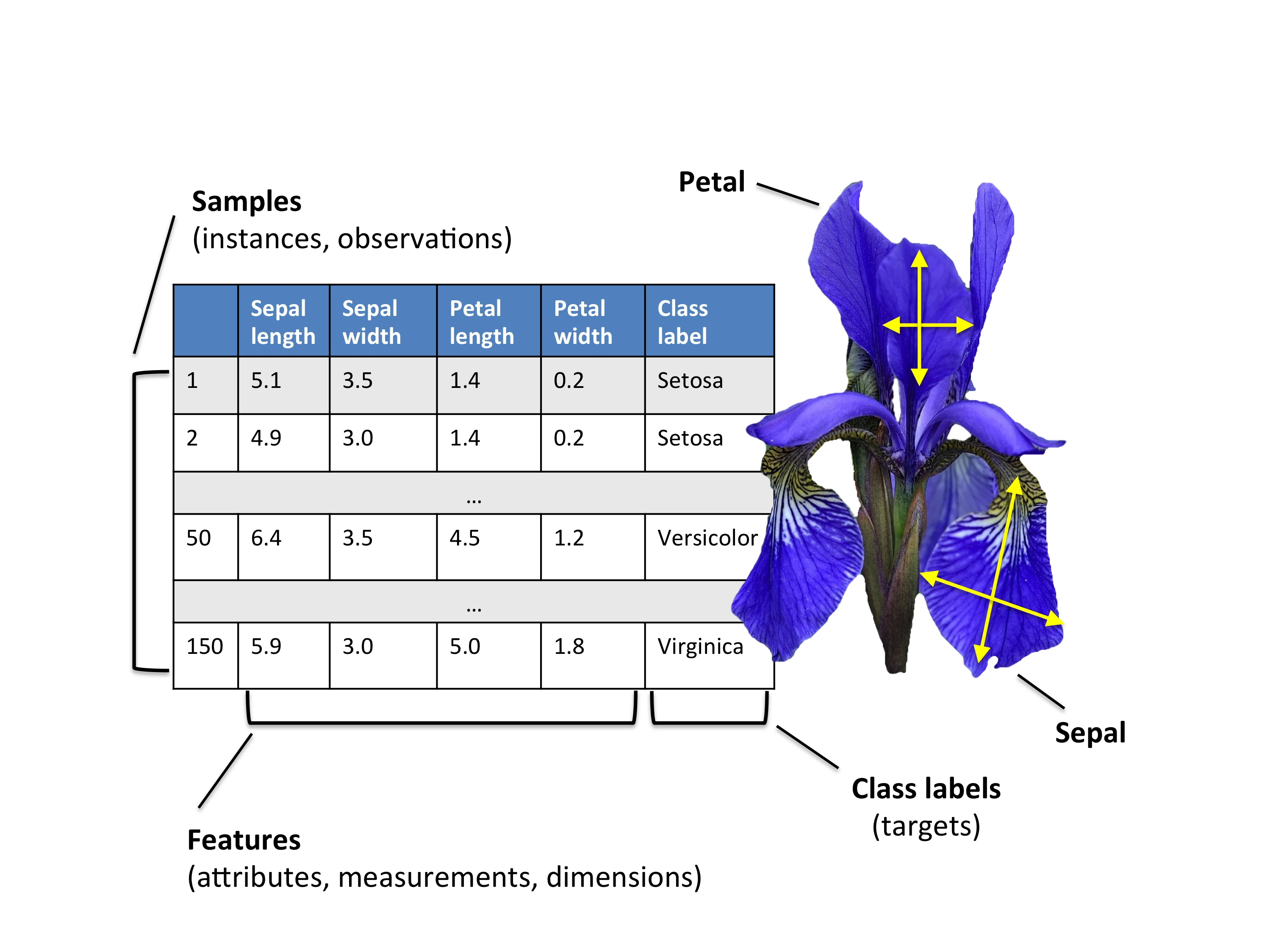 Principal component analysis iris
