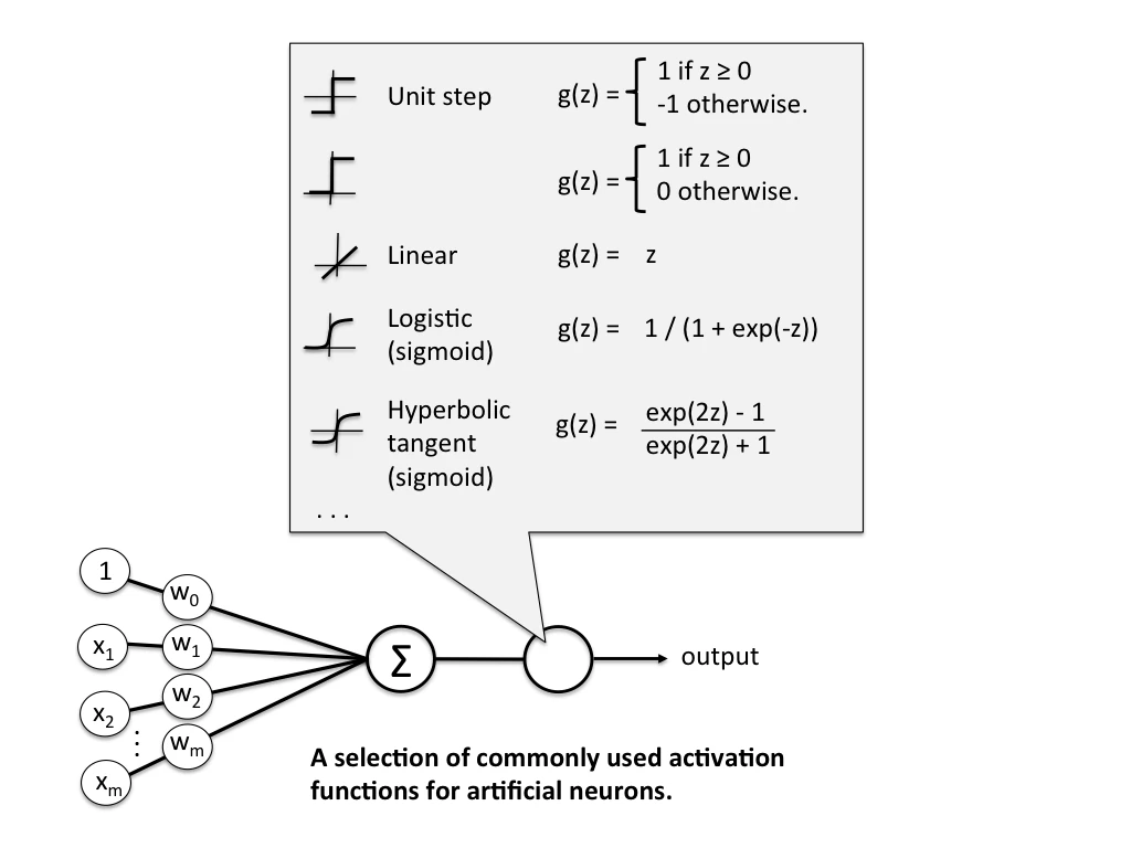 Perceptron Activation