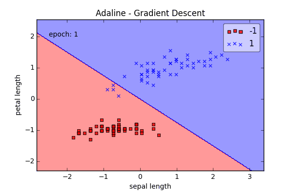 Perceptron Animation