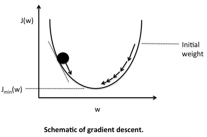 Perceptron Gradient Descent