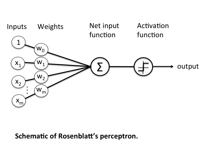 Perceptron Schematic
