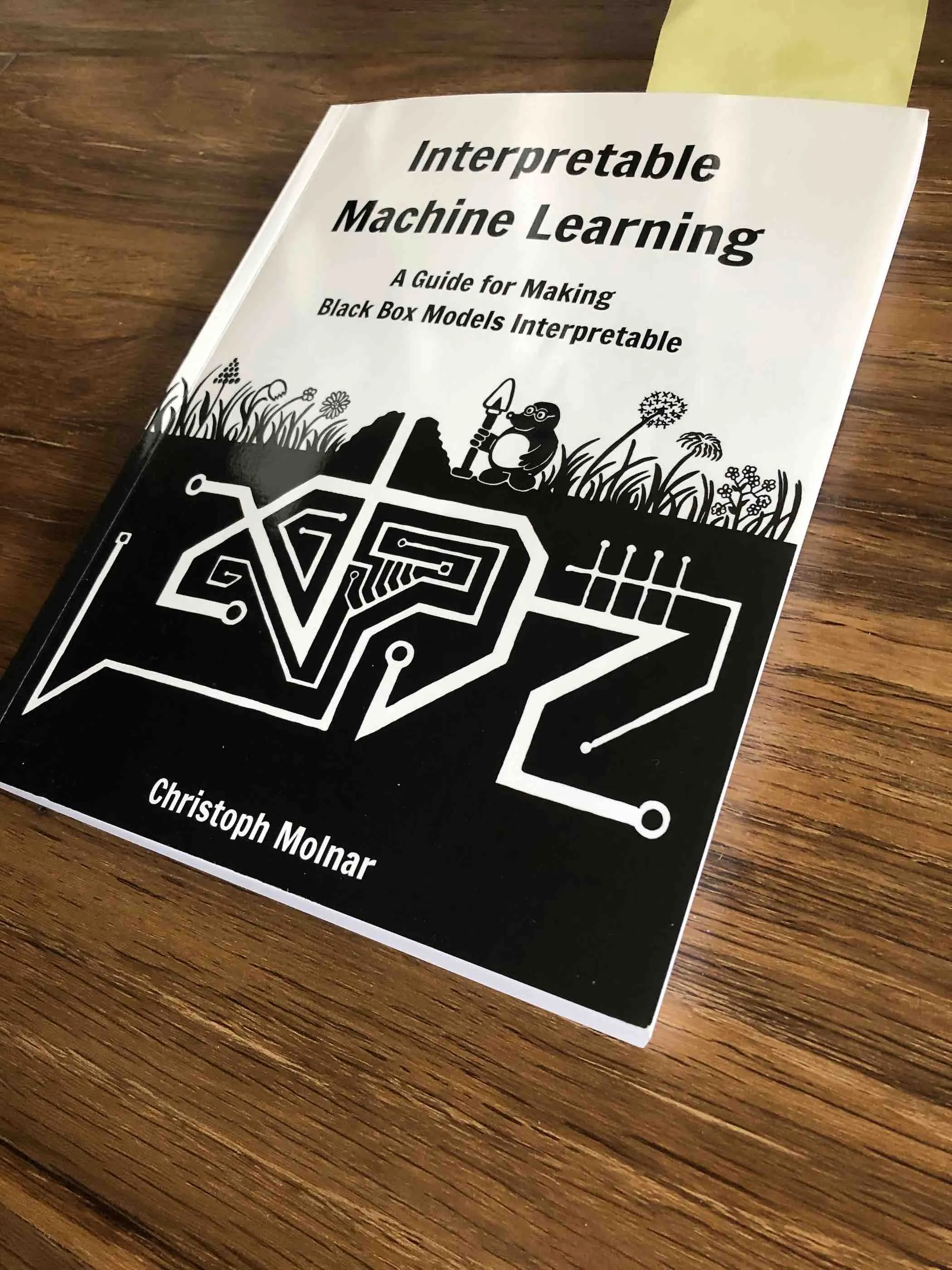 Interpretable ml 1 book