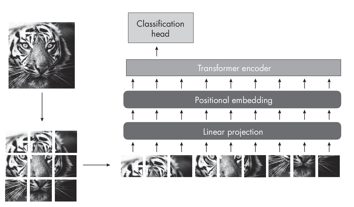 Ch13 Fig04