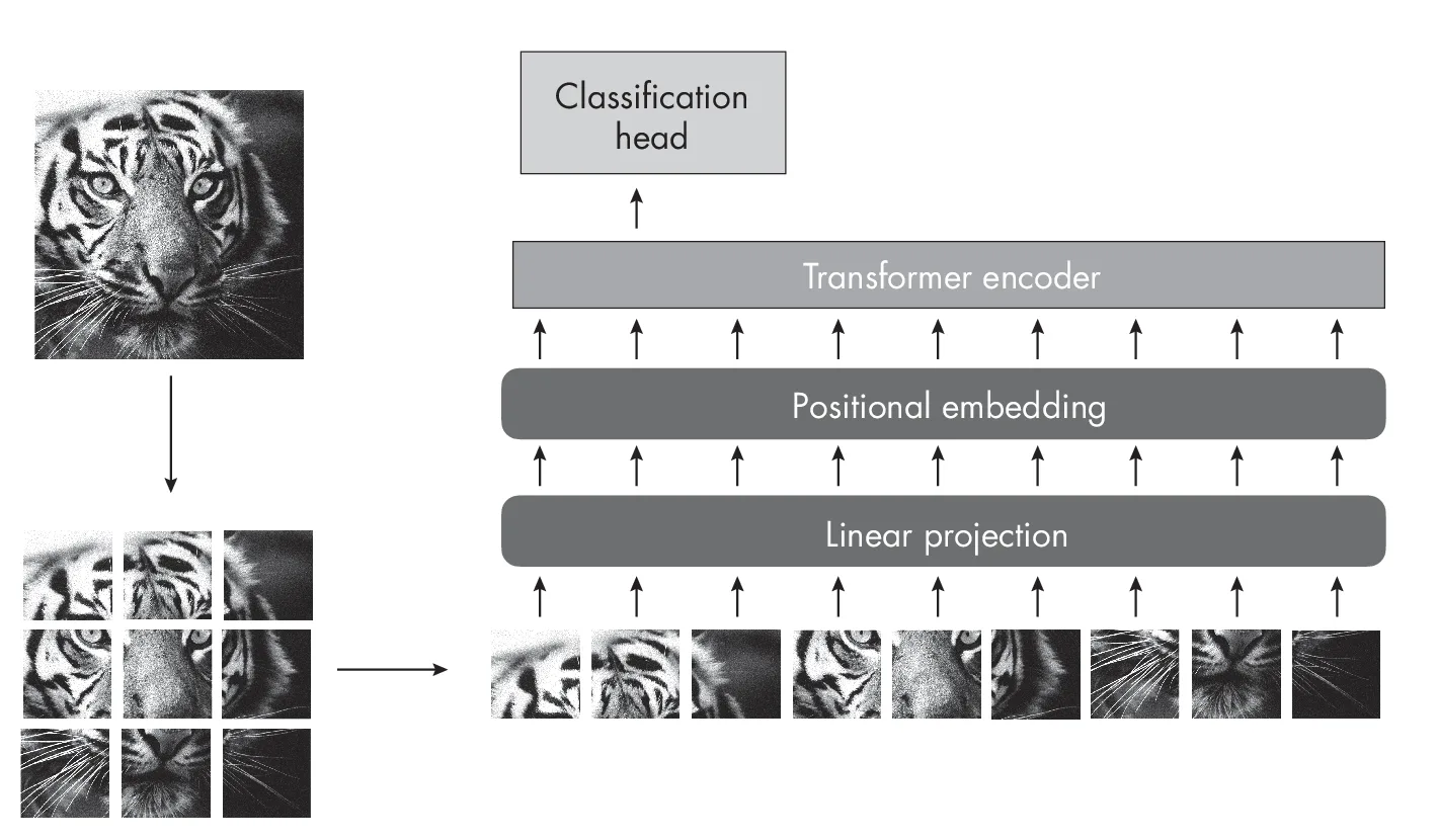 Ch13 Fig04