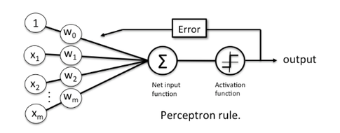 Perceptron