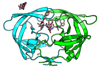 HIV Protease