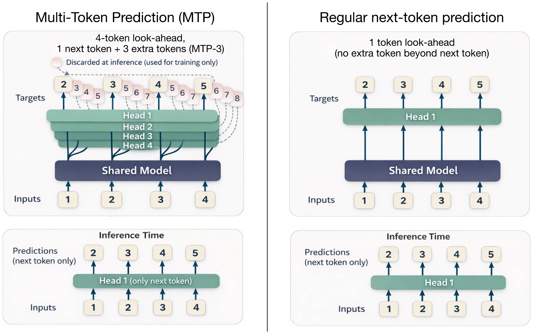 Comparison between next-token prediction and multi-token prediction