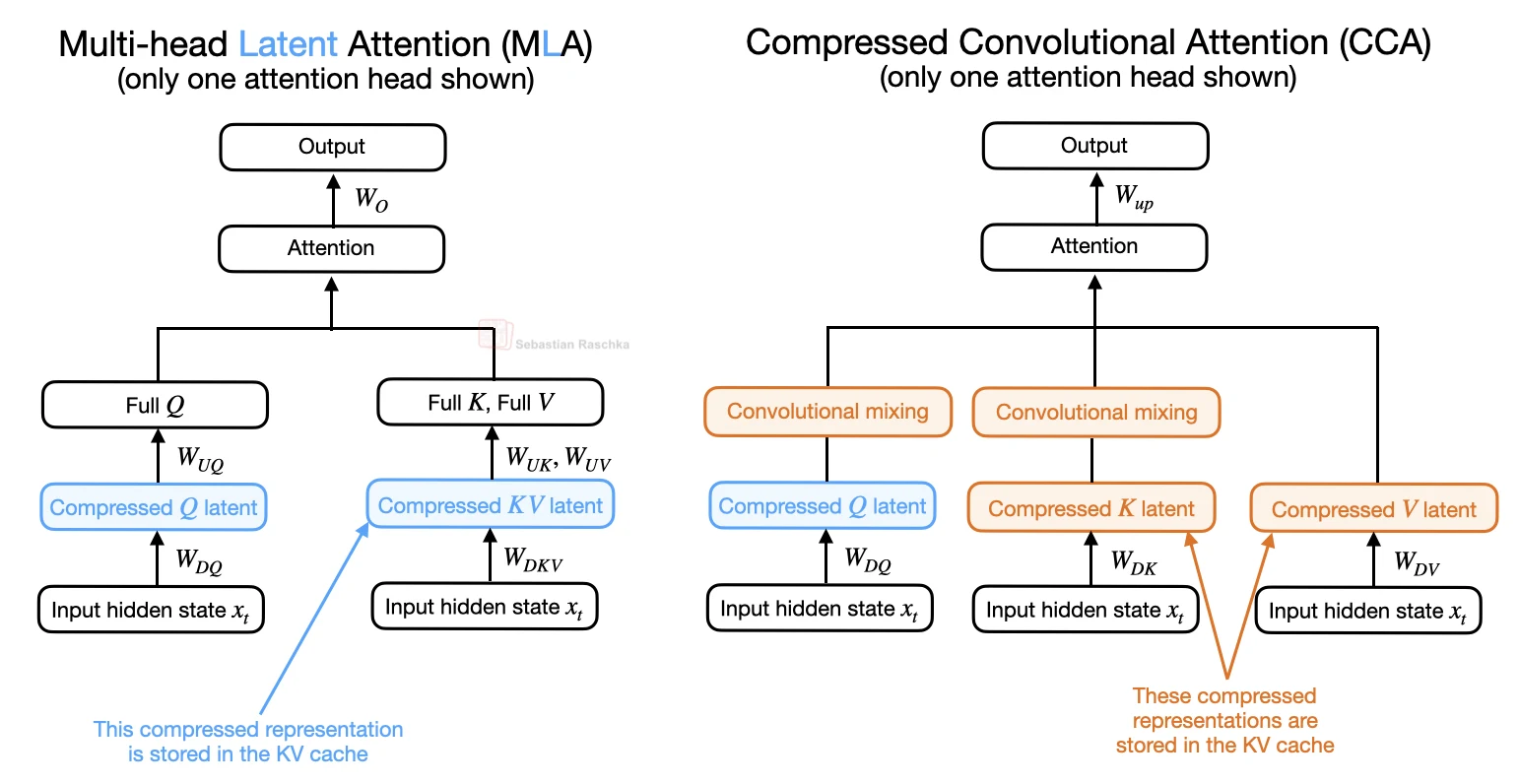 Multi-head latent attention and compressed convolutional attention side by side