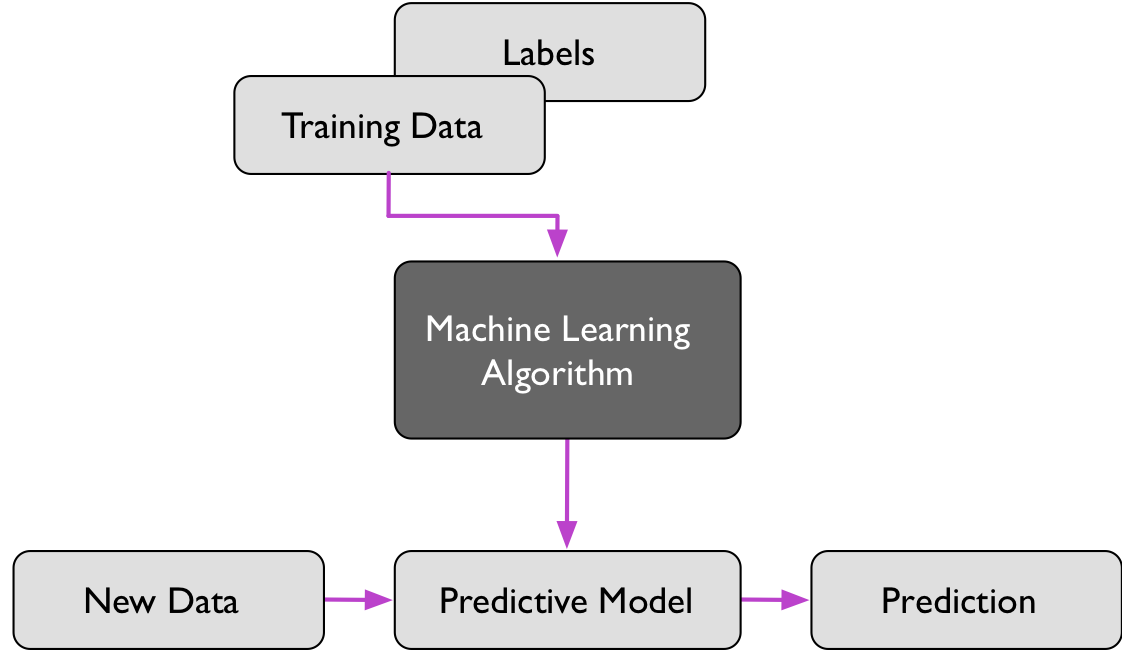 Rough overview of the supervised learning process.